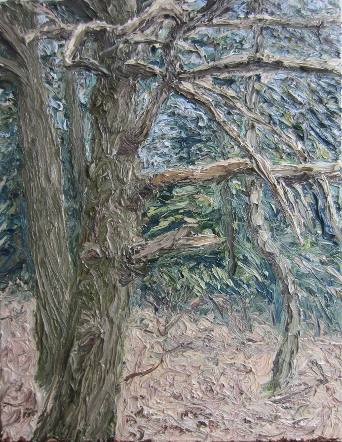 Eik aan de bosrand Olieverf op doek 45 x 35 cm