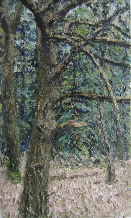 Eik aan de bosrand Olieverf op doek 50 x 30 cm